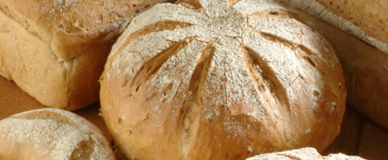 Garlic-loaf-1600x660